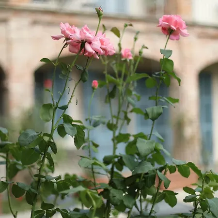 Dell' Orso Bevitore Bed & Breakfast