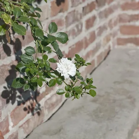 Bed and Breakfast Dell' Orso Bevitore 4*